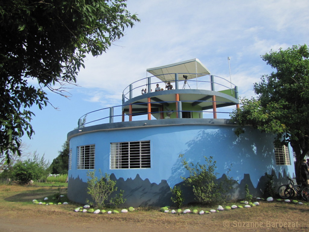 River of Raptors: Bird Migration in Veracruz