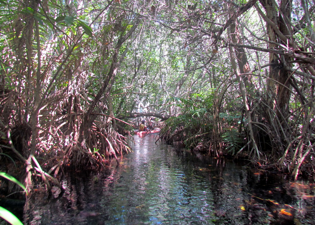 Eco-Adventures in Yucatan State