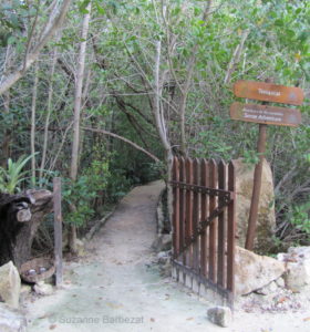 Sense Adventure at Hacienda Tres Rios