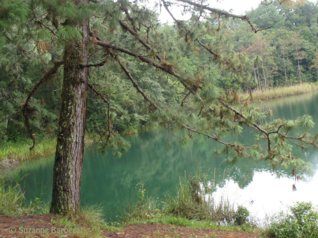 The Lagunas de Montebello in Chiapas