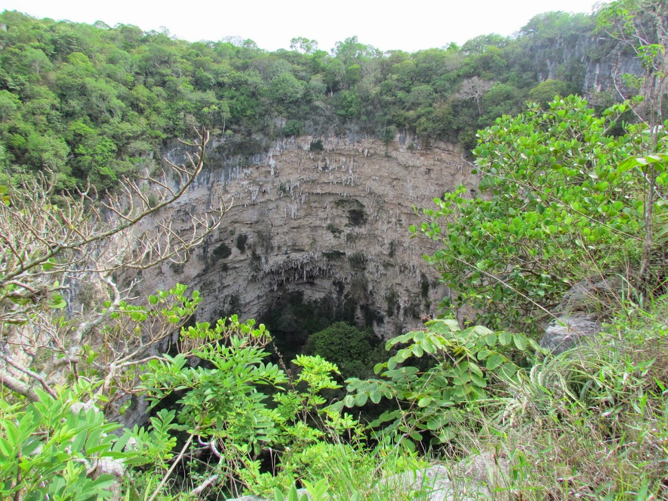 Sima de las Cotorras